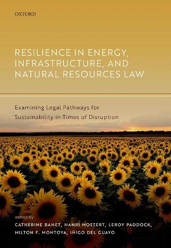 Resilience energy - resilience,