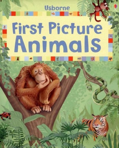 First picture animals - first, (first